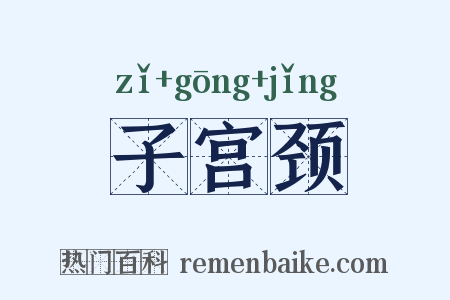子宫颈是什么意思的图片